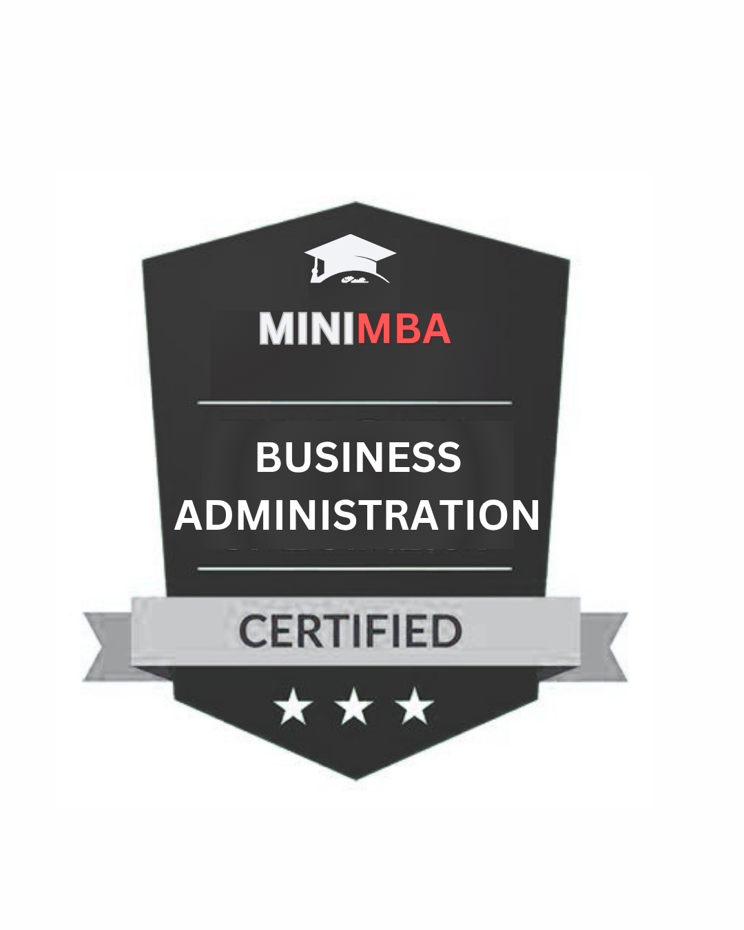 Mini MBA in Business Administration – Professional Training Program