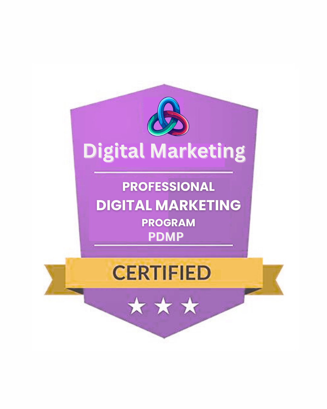 Professional Digital Marketing Program (PDMP)