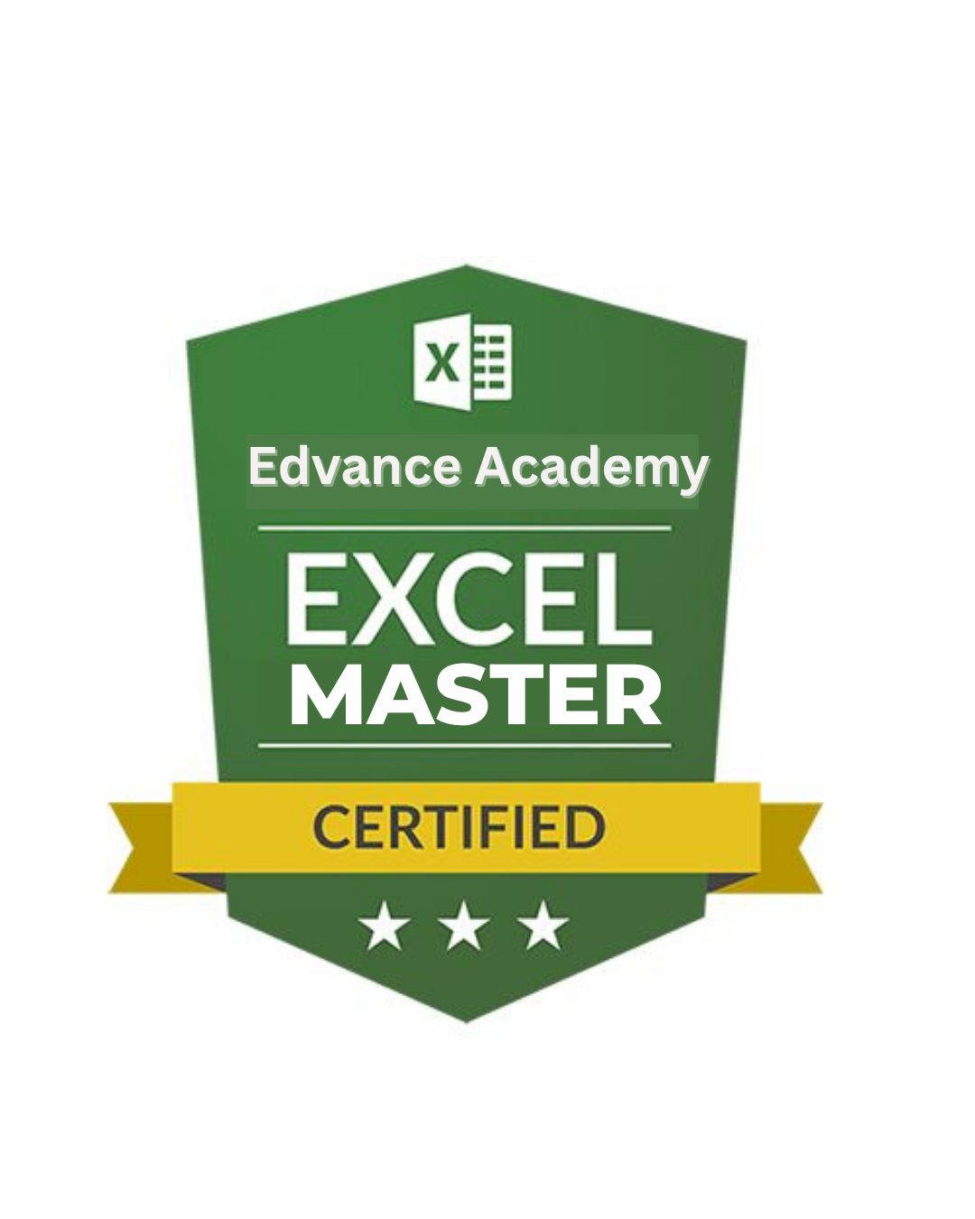 Professional Excel Mastery Program
